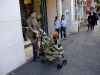 dog-in-stroller